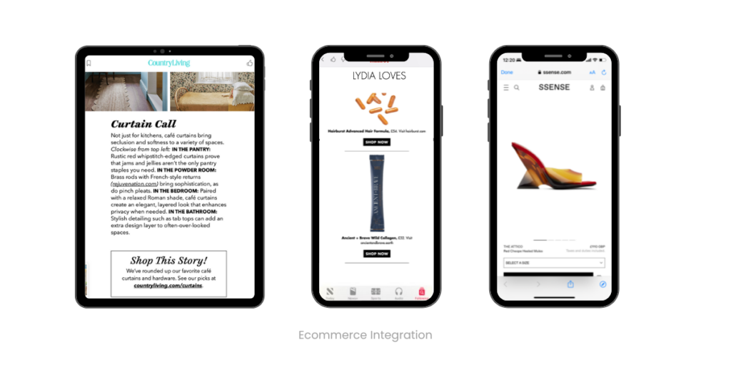 6 Easy Ways to Make More Revenue From Your Digital Magazine - Ecom Store